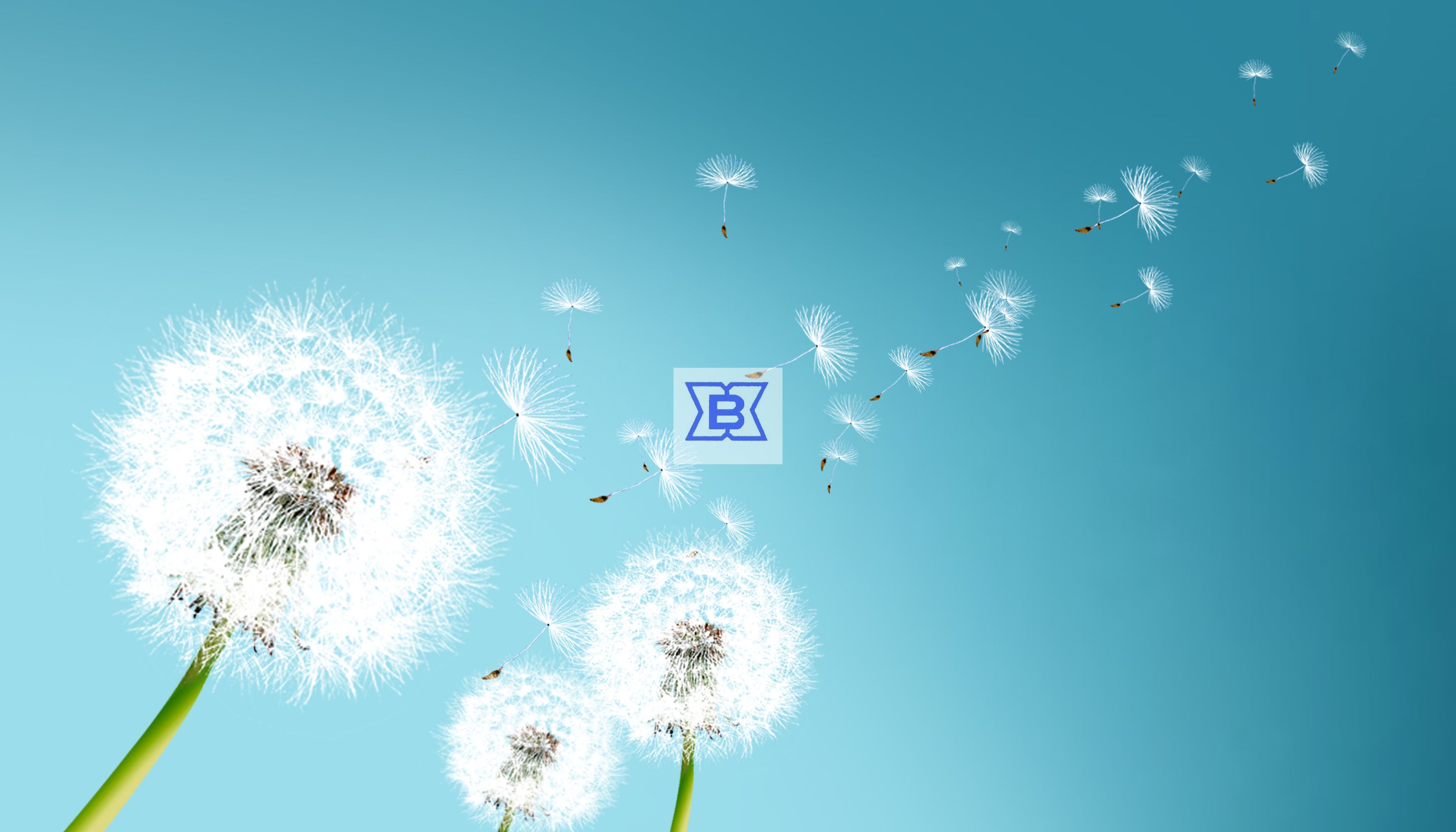EVO视讯(中国游)有限公司-官网